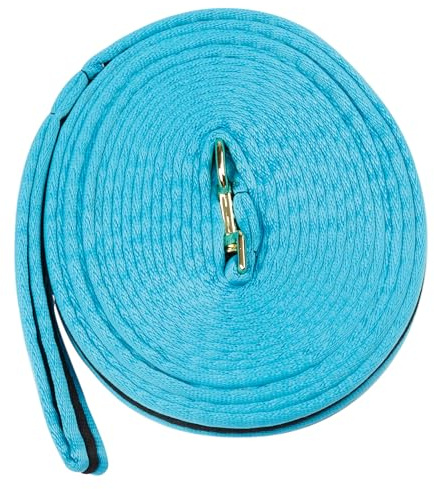 Kincade Brights Two Tone Padded Lunging Rein, Aqua/Black, 26'