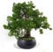 Leaf Künstlicher Kleiner Bonsai-Baum.