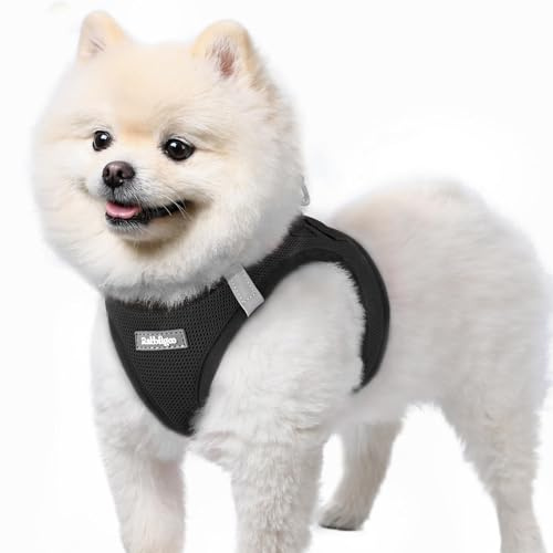 rabbitgoo Hundegeschirr Kleine Hunde, Step-in Welpengeschirr Weich Mesh für Spaziergänge, Atmungsaktives und Reflektierendes Brustgeschirr für Kleine und Mittelgroße Hunde, Schwarz, S