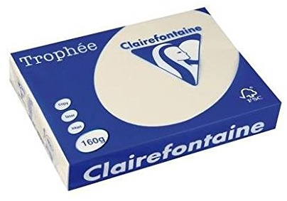 Clairefontaine 1108C - Ries mit 250 Blatt Druckerpapier / Kopierpapier Trophée, DIN A3 (29,7x42 cm), 160g, Elfenbein Pastellfarbe, 1 Ries