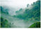 Fototapete Wald Nebel Dschungel Regenwald Urwald Fototapeten 3D Effekt Wohnzimmer Schlafzimmer Wandtapete Vlies Tapete UV-Beständig Montagefertig (368x254 cm - 4 Bahnen, 14160)