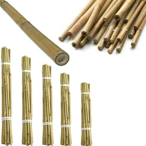 Q&H Strong Heavy Duty Professional Bamboo Canes 2ft, 3ft, 4ft, 5ft, 6ft - Outdoor Plant Support Garden Canes - Sturdy & Natural Bamboo Sticks for Plants Size - Natural Stake Pole Can (10, 3ft (90cm))