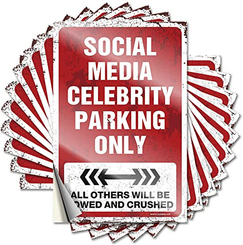Lustige Auto-Aufkleber, Social Media, Prominent, Parkplatz, 10 Stück, lustige Autoaufkleber (8 x 12 cm)