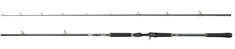 Abu Garcia Beast X Casting Rod, Süßwasserangler Angeln Hecht & Zander, Starkes Leichtgewicht & Vielseitig, Grün, 2.49m Moderat Schnelle Beidhändige Rute