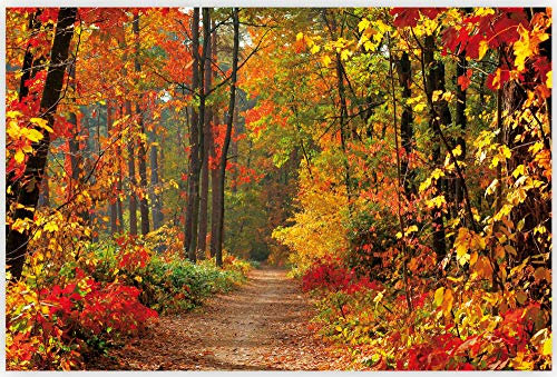 1art1 Forêts Poster Couleurs d'automne Magiques Affiche Murale 91x61 cm