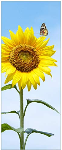 Wallario Glasbild Sonnenblume mit Schmetterling - 32 x 80 cm Wandbilder Glas in Premium-Qualität: Brillante Farben, freischwebende Optik