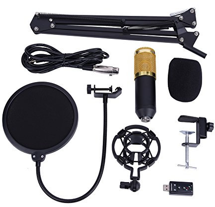 AYNEFY Condenser Microphone Kit, PC Microphone Set with Adjustable Stand, Spider Anti Shock, Anti-Wind Filter for Recording, Streaming, Podcasting