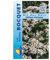 Sachet de graines d'Ail Des Ours - Allium Ursinum - 0,50g - Les Graines Bocquet