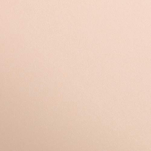 Clairefontaine - Ref 48064C - Maya Coloured Smooth Drawing Paper (Pack of 25 Sheets) - 270gsm Paper - A3 (42 x 29.7cm) - Apricot Colour - Deep Dyed, Acid Free, pH Neutral