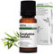 Aroma Labs - Eucalipto Radiata - Aceite Esencial Orgánico - Quimiotipado y Certificado AB - 10 mL