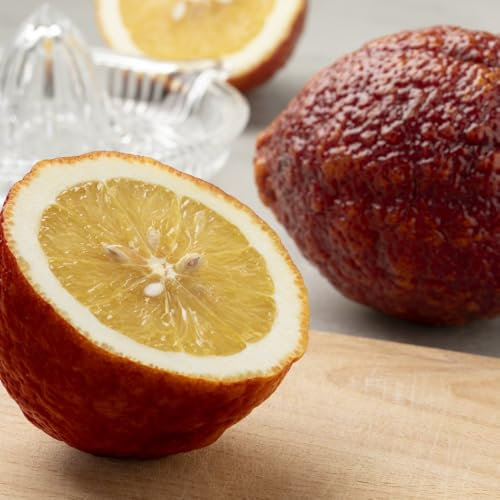 Red Lemon 'Citrus Lemon Rosso' - Rare Ornamental Citrus Tree | Unique Red-Orange Fruit | Fragrant Flowers | Perfect for Patio Containers - 1x 18cm Potted Plant by Thompson & Morgan