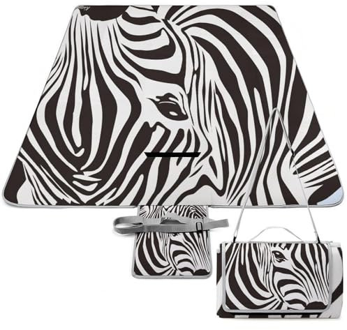 Cmagnifico Picknickmatte, Zebrastreifen, quadratische Picknickdecke, Outdoor-Teppiche, 148 x 148 cm