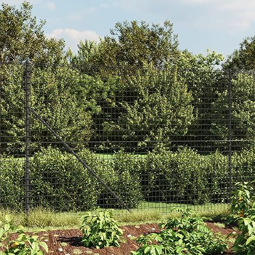 Verderoom Maschendrahtzaun 200 cm höhe Maschendrahtzaun Komplettset 1.6 x 25m Gartenzaun Komplettset Maschendrahtzaun mit Bodenflansch-Anthrazit-2 x 25 m