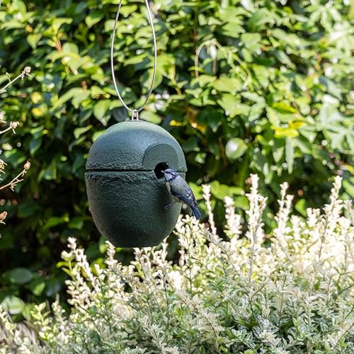 CJ Wildlife Nistkasten – Vogelnistkasten für Meisen – Woodstone® Holzbeton Grün – 28 mm Einflugloch – Wetterfest, langlebig, für draußen