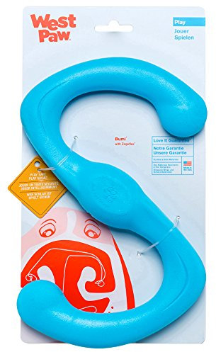 West Paw 27582 Bumi Large, Aqua