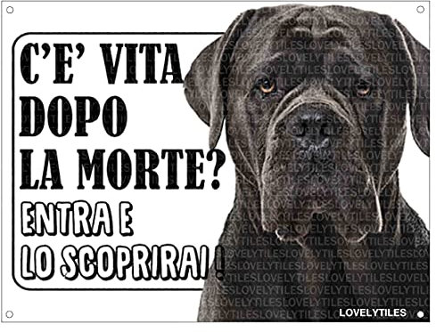 Lovelytiles Cane Corso ATTENTI al Cane Esiste LA Vita Dopo LA Morte? Targa Cartello INSEGNA (Metallo)