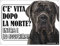 Lovelytiles Cane Corso ATTENTI al Cane Esiste LA Vita Dopo LA Morte? Targa Cartello INSEGNA (Metallo)