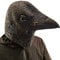 PartyCostume Máscara de Cuervo Pájaro Negro Máscaras de Cabeza de Animal de Látex Realistas Para Halloween Desfile de Carnaval Fiesta de Disfraces