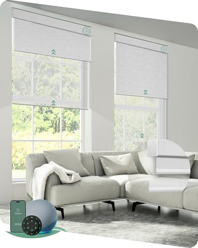 Yoolax Smart Dual Roller Shades, Motorized Blinds with Remote, Custom Size