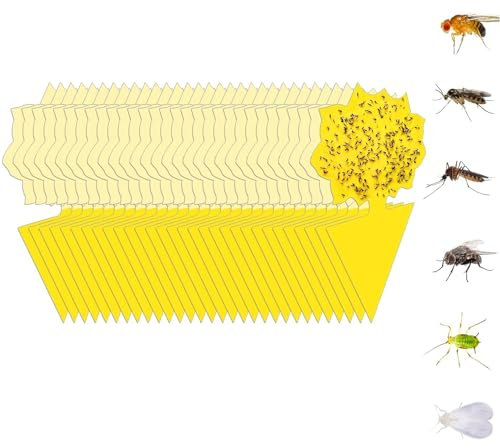 50 Stück gelbe klebrige Fallen für Gnats, Pilz Gnat klebrige Falle Obst Fliegenfallen Pflanze Fliegen Killer, Hauspflanze Pilz Gnat Killer im Freien Bug Gnat klebrige Fallen