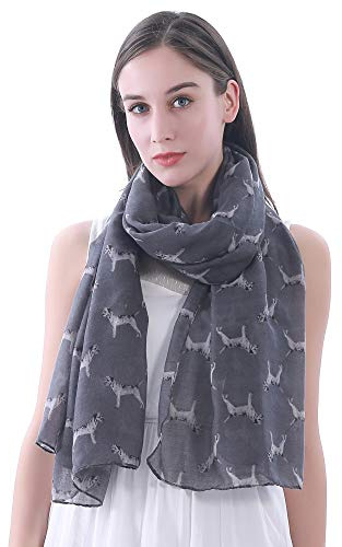 Lina & Lily Border Terrier Dog Print Women's Scarf Shawl Wrap Lightweight