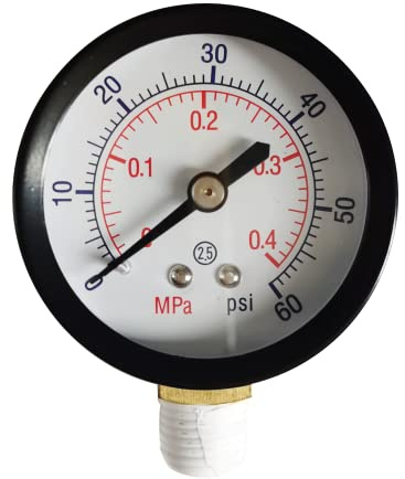 Manomètre de rechange 0-60 PSI pour filtre de piscine Select Sand & D.E. ECX270861