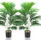 Lighterday Lot de 2 plantes artificielles de 80 cm - Arbre décoratif d'intérieur - Plantes en plastique pour bureau, maison, décoration intérieure et extérieure (2 pots de palmier jaune artificiel)