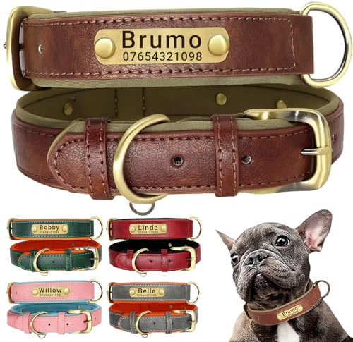 SEOUGEE Hundehalsband aus echtem Leder, personalisierbar, weich gepolstert, strapazierfähig, mit individuell graviertem Namensschild, verstellbar für kleine, mittelgroße und große Hunde (M, Braun
