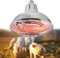 Generic Lampe thermique infrarouge pour poussins, chiots et reptiles, 200 W-400 W, pour animaux de compagnie, lumière blanche chaude, 1 pièce