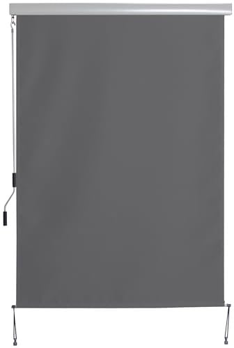 Outsunny Senkrechtmarkise Balkonmarkise Vertikalmarkise Windschutz Seitenrollo Sichtschutz mit Handkurbel Polyesterstoff+Aluminium Dunkelgrau 250 x 140 cm