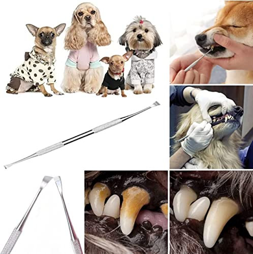 LTG PRO® Animal Tooth De-Scaler Dog Cat Dental Oral Care Pets Hygiene Medentra ISO CE
