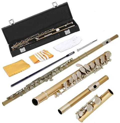 Querflöte Gold- Und Silberflöte Geschlossenes Loch C-Rille – Musikinstrument-Anfängerflöte Mit Box-Handschuh-Tuch