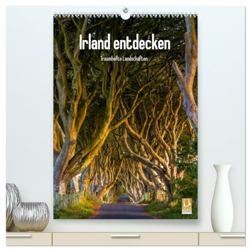 Irland entdecken (hochwertiger Premium Wandkalender 2026 DIN A2 hoch), Kunstdruck in Hochglanz: Irische Landschaften (CALVENDO Natur)