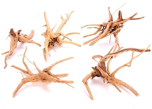Zhixan Lot de 5 racines d'aquarium, décoration en bois flotté, accessoires d'aquarium 10-15 cm et 15-20 cm, tronc d'arbre naturel pour aquariums, terrariums et aquascaping en bois véritable