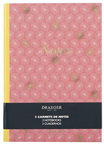 Draeger Paris Notizbuch, A5, liniert, Rosa, Grün, 3 Stück
