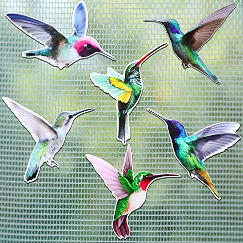 12 Stück Kolibri Fliegengitter Schutz Magnete Dkorative Flexible Doppelseitige Magnet Aufkleber für Fliegengitter Türen Terrassen Türen Dekoration Fliegengitter Durchlaufschutz