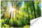 Muralo - Fototapete 3d Effekt - Selbstklebende Tapete 3d - Tapeten für Wohnzimmer Schlafzimmer - Fototapete Wald bei Tagesanbruch selbstklebend - Br. 416cm x Hö. 254cm