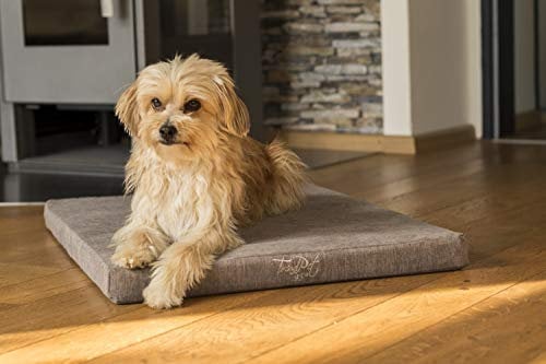 TrendPet VitaMedog 95°C - Orthopädische 5cm Hundematte Matratze mit kochbarem Bezug 110x80cm