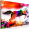 decomonkey Bilder Abstrakt Pferd 60x40 cm 1 Teilig Leinwandbilder Bild auf Leinwand Vlies Wandbild Kunstdruck Wanddeko Wand Wohnzimmer Wanddekoration Deko Bunt Tiere