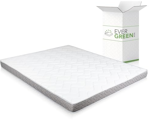EVERGREENWEB Günstige doppelmatratze für Schlafsofa, 14 cm hoch, orthopädische Wasserschaummatratze, hypoallergene und ergonimische Matratze mit weißem Bezug 140X190 – DAYBED