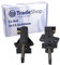 Trade-Shop 2x Motorkohlen 5x12,5x42mm mit Halter L für AEG Lavamat 60563708300 60563708400 60563708500 60563708600 60563708700 60563708800 60563708900