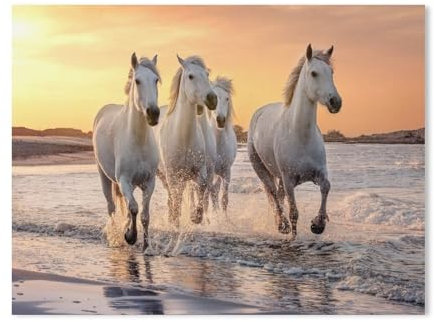 Klassisches Puzzle 1000 Teile，weiße Pferd in freier Wildbahn，Kind Oder Einen Freund,1000 Piece（38x26cm-49