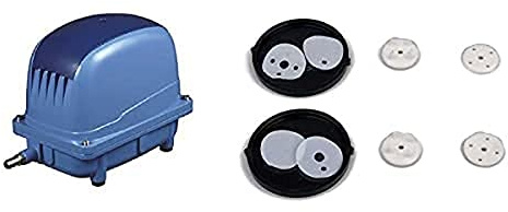 AquaForte Energiesparende Luftpumpe AP-60, 65L/min (bei 1 m), Max. Druck: 3,5 m, 38 W + Membranenset AP-60/80/100 Membranensatz, Ersatzteil, Schwarz, Weiß
