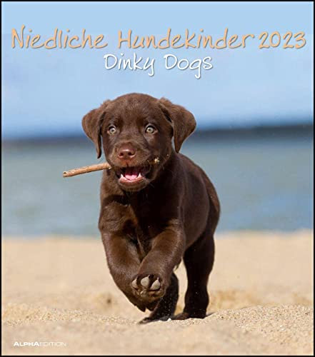 Niedliche Hundekinder 2023 - Wand-Kalender - Tier-Kalender - 30x34: Dinky Dogs
