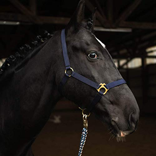 Pferdelinis Halfter für Pferd Warmblut, Vollblut, Kaltblut – Stallhalfter, Weidehalfter, 2 Fach verstellbar an Kinnriemen und Genickstück, sicher & reißfest (Dunkelblau, Mini Shetty)