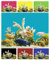 1 Meter Aquarium Terrarium Hintergrundfolie Rückwand Hintergrund Folie Selbstklebend Zuschnitt Einfarbig Poster Zubehör (60 cm, Weiß)