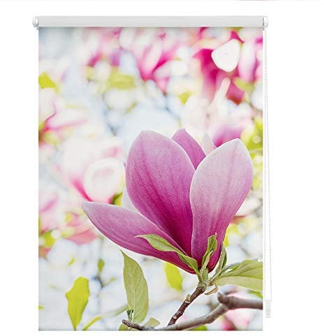 Lichtblick Klemmfix Verdunklungs-Rollo mit Motiv, ohne Bohren, Blickdicht, Seitenzugrollo, Made in Germany, Magnolie - Rosa 120 x 150 cm