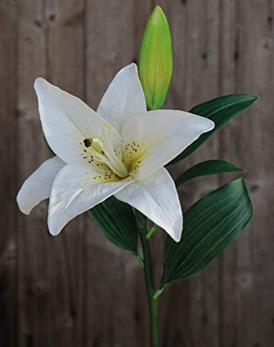 artplants.de Giglio tigrato Artificiale FILICE, Bianco-Verde, 50 cm, Ø17 cm - Giglio tigrato Tessile