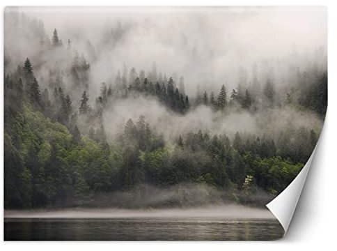 Feeby Fototapete Wald im Nebel 200x140 cm Grün XXL Vlies Wandtapete Tapeten Wohnzimmer Schlafzimmer Jugendzimmer Moderne Design Wandbild Wand Dekoration Landschaft Natur