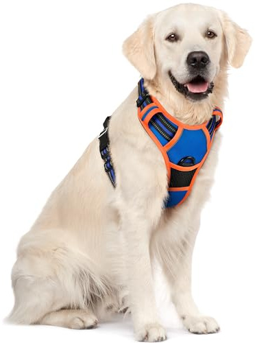 rabbitgoo Dog Harness Large Dog, No Pull Vest with Front Clip & Handle | No Choke, Adjustable, Breathable Padded, 2 Lead Rings, Reflective, Easy Control for Walking Training, XL, Blue & Orange